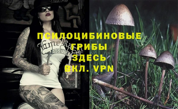 синтетический гашиш Каменка
