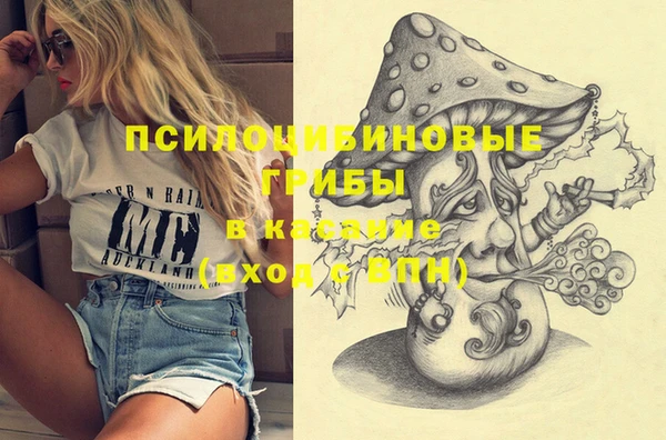бутират Каменногорск